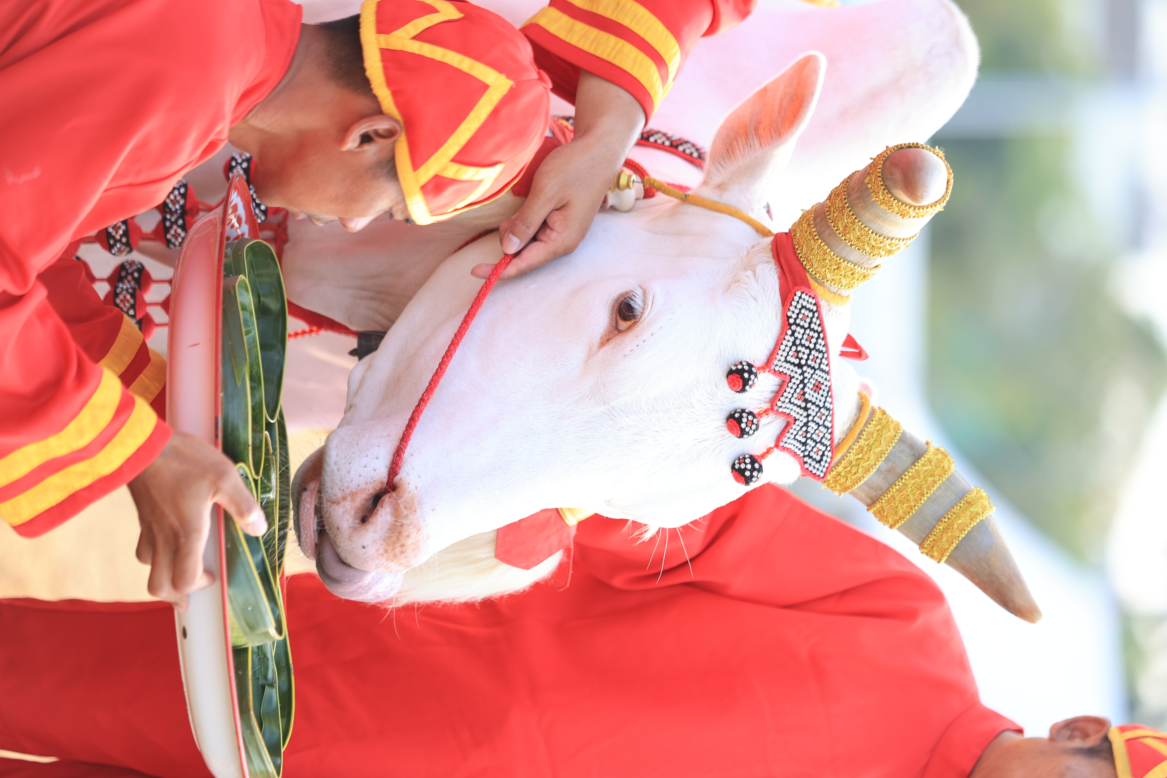 title - ส.ป.ก. ร่วมซ้อมใหญ่ ครั้งที่ 1 พระราชพิธีพืชมงคลจรดพระนังคัลแรกนาขวัญ ประจำปีพุทธศักราช 2569 